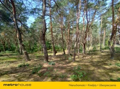SGGERI427 - zdjęcie nr 3
