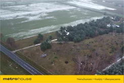 GYPO162 - zdjęcie nr 3