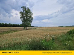 SGDUBE263 - zdjęcie nr 2
