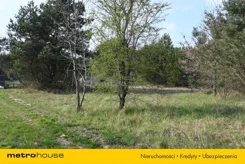 SGDUCU243 - zdjęcie nr 1