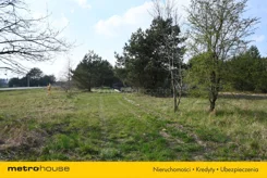 SGDUCU243 - zdjęcie nr 2