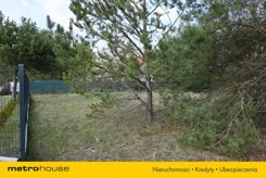 SGDUCU243 - zdjęcie nr 4