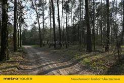SGFUDA415 - zdjęcie nr 4