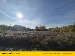 SGNALU557 - zdjęcie nr 2