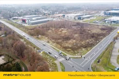 SGRORE593 - zdjęcie nr 0