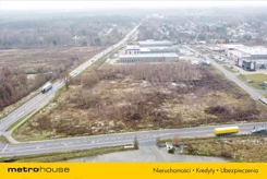 SGRORE593 - zdjęcie nr 3