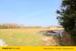 RUNO483 - zdjęcie nr 0