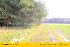 RUNO483 - zdjęcie nr 3