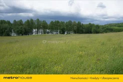 GIDI483 - zdjęcie nr 3