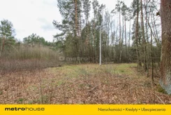 SGSOSO695 - zdjęcie nr 1