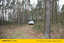 SGSOSO695 - zdjęcie nr 2