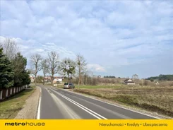 NETO204 - zdjęcie nr 2