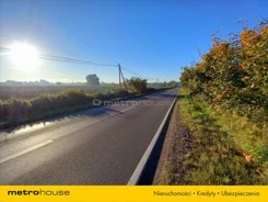 LUCO181 - zdjęcie nr 4