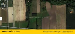 SGLUPO491 - zdjęcie nr 4