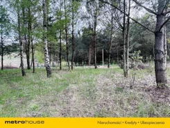 KYJY968 - zdjęcie nr 5