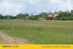 SUZA925 - zdjęcie nr 4