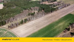 SGPALA189 - zdjęcie nr 0