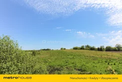SGRINI467 - zdjęcie nr 0