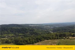 FUGO609 - zdjęcie nr 1