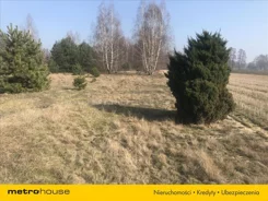 FANY121 - zdjęcie nr 1
