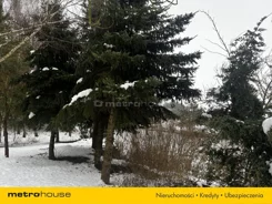 SGSOCY942 - zdjęcie nr 1