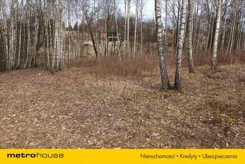 JIBY558 - zdjęcie nr 1