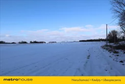 MASA734 - zdjęcie nr 1