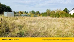 SGNOKO545 - zdjęcie nr 1