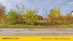 SGNOKO545 - zdjęcie nr 4