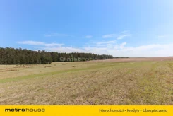 SGBEPA146 - zdjęcie nr 0