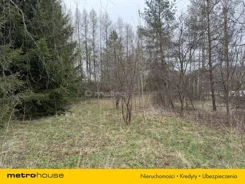 SGREFE729 - zdjęcie nr 2