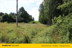 TOPO974 - zdjęcie nr 4