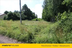 TOPO974 - zdjęcie nr 5