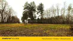 SGSOKE476 - zdjęcie nr 1