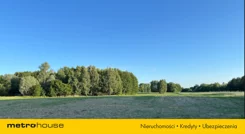 SGNOZO640 - zdjęcie nr 4