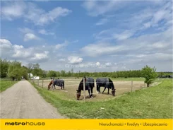 PYSY893 - zdjęcie nr 4