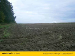 DODE288 - zdjęcie nr 5