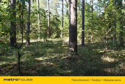JURA677 - zdjęcie nr 0
