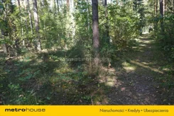 JURA677 - zdjęcie nr 1