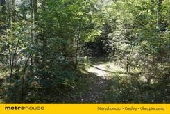 JURA677 - zdjęcie nr 2
