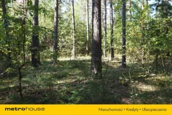 JURA677 - zdjęcie nr 3