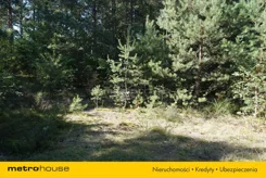 JURA677 - zdjęcie nr 5