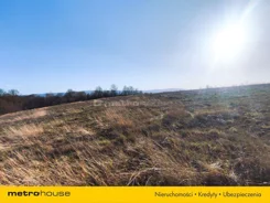 SGDATE581 - zdjęcie nr 4