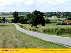 PADY095 - zdjęcie nr 3