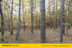 SGPIKI342 - zdjęcie nr 3