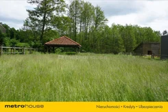 XUSI638 - zdjęcie nr 2
