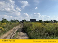 GOXY238 - zdjęcie nr 1
