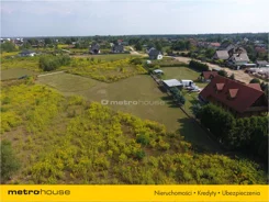 GOXY238 - zdjęcie nr 2