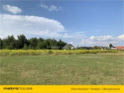 GOXY238 - zdjęcie nr 4