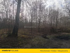 SGLEVO445 - zdjęcie nr 3